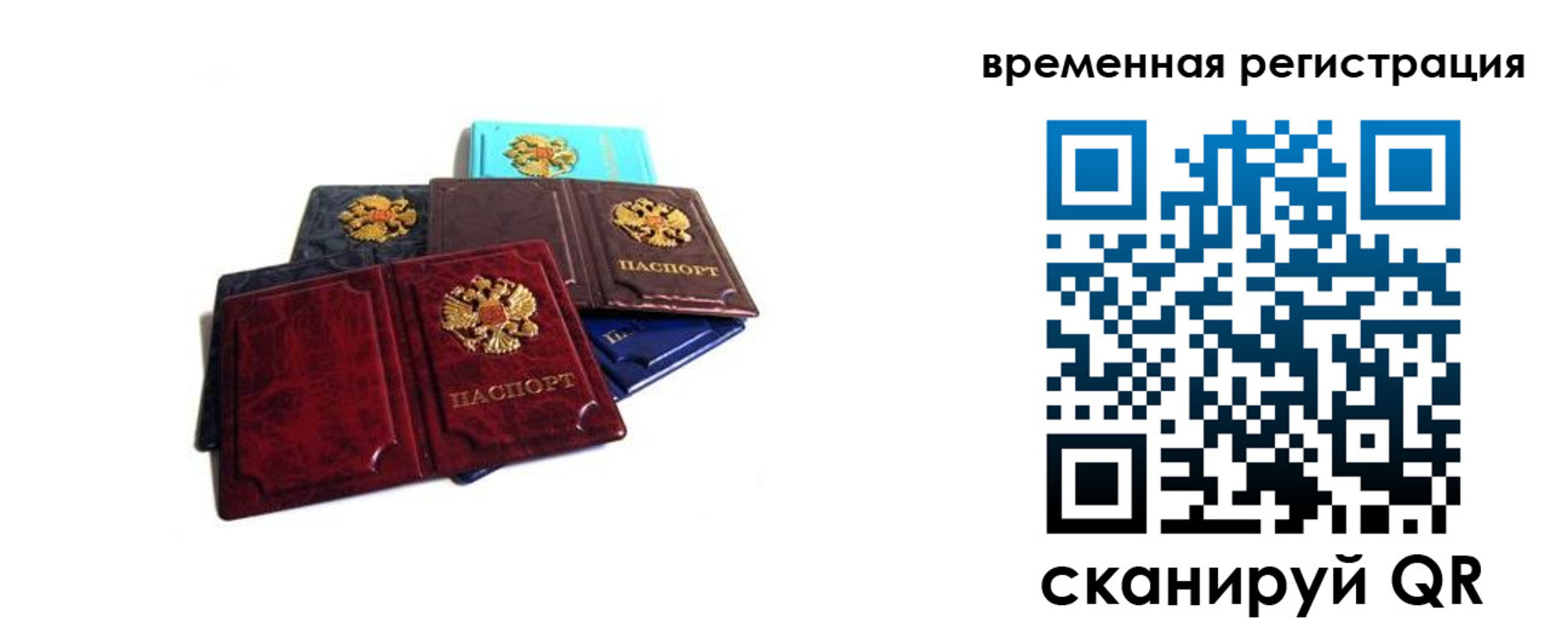 прописка гарантия в Завитинске
