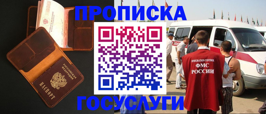 прописка законно в Завитинске